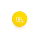 Allcare 66fit Cross Fit Balls