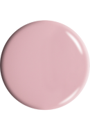 Dr.'s REMEDY / SPRING Serenity Duo Trio